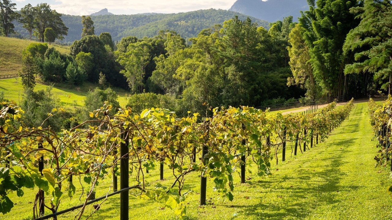 Photo of Outdoor in Kunghur