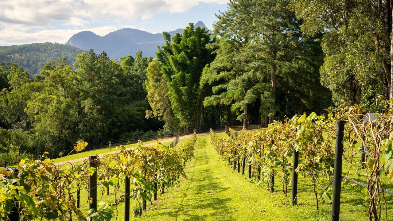 Photo of Outdoor in Kunghur