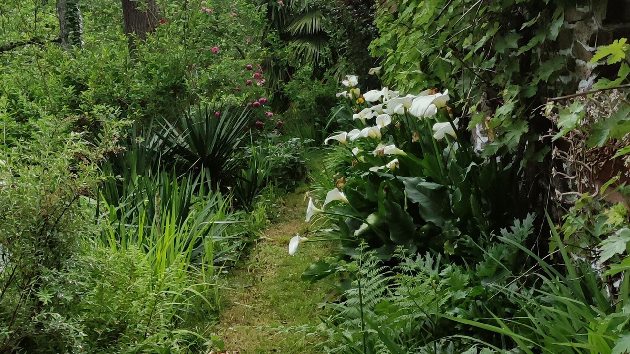 Photo of Outdoor in Les Angles