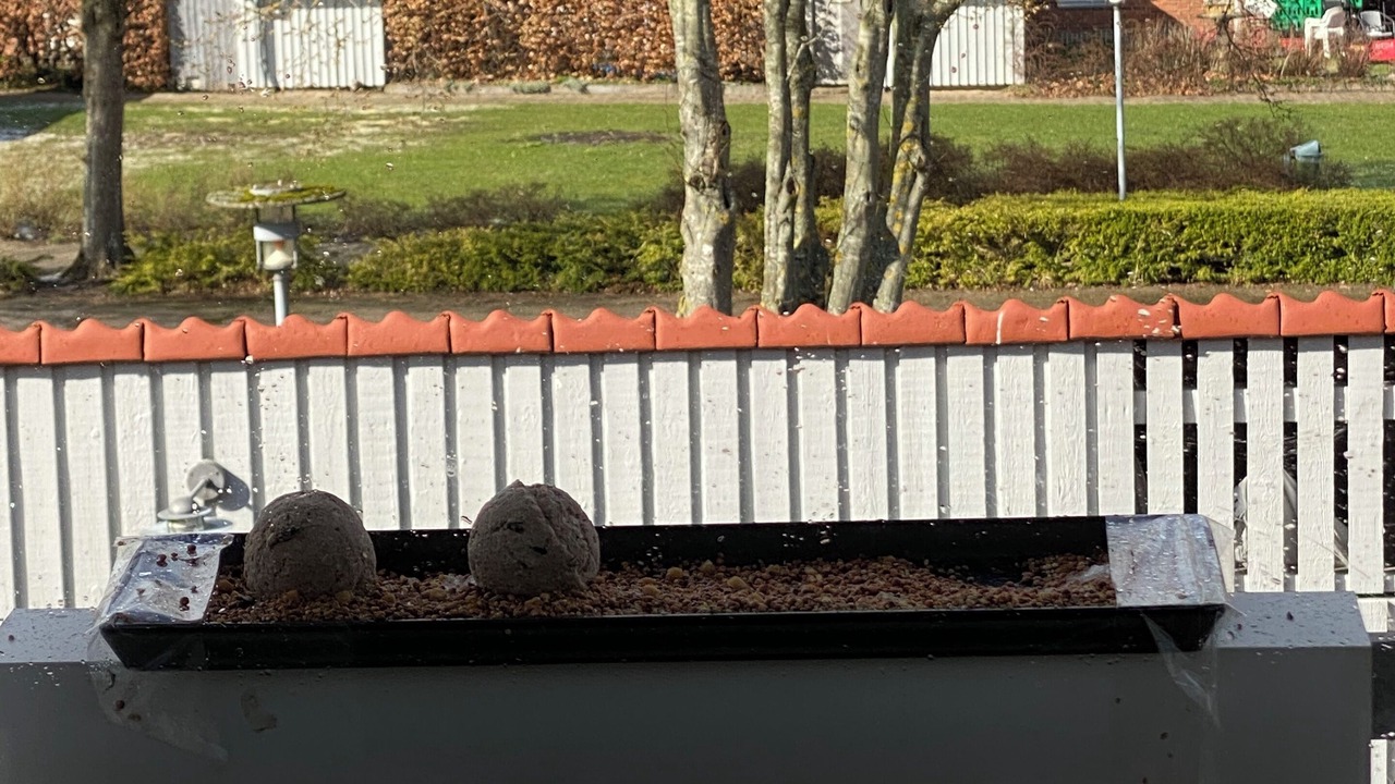 Photo of Outdoor in Tornbjerg