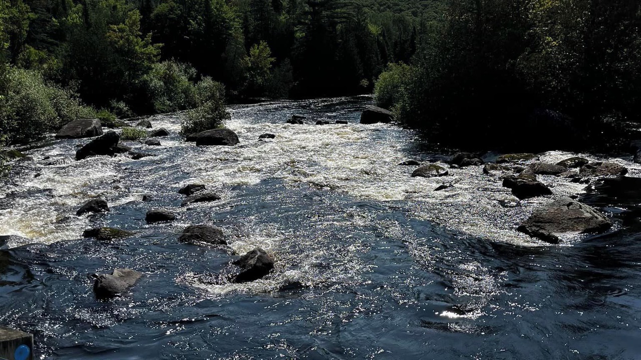 Photo of Others in Sainte-Lucie-des-Laurentides