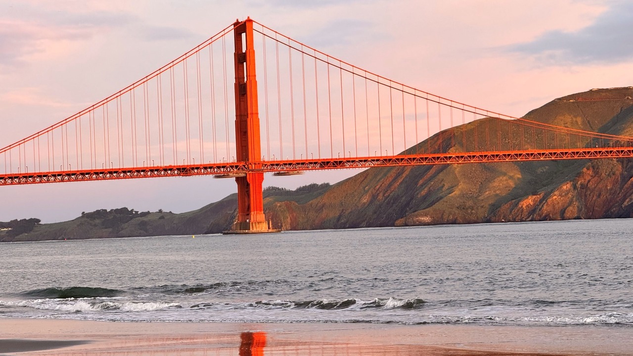 Photo of Others in Cow Hollow