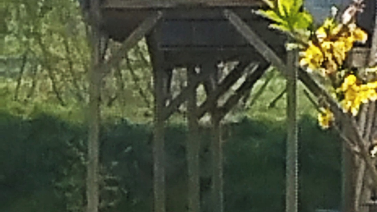 Photo of Outdoor in Camoel