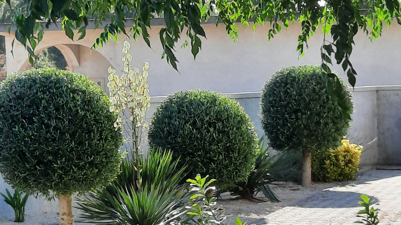 Photo of Outdoor in Vrsi