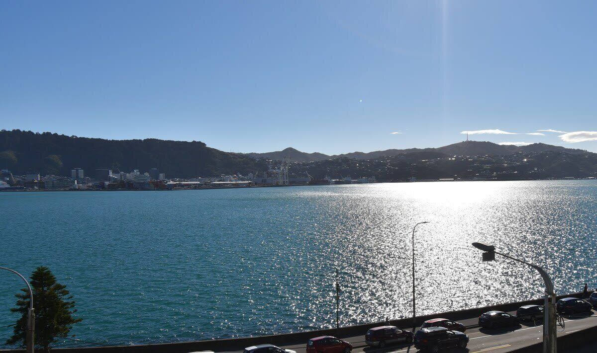 Photo of Others in Oriental Bay