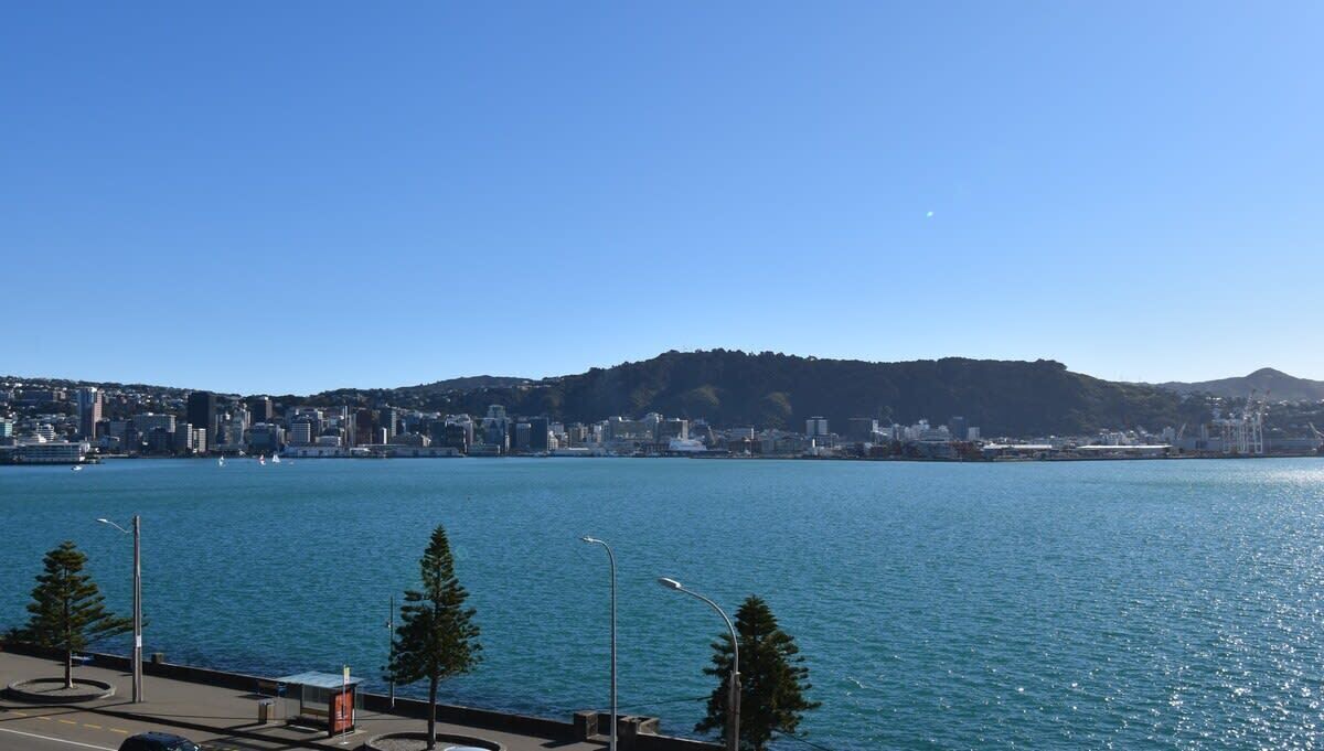 Photo of Others in Oriental Bay