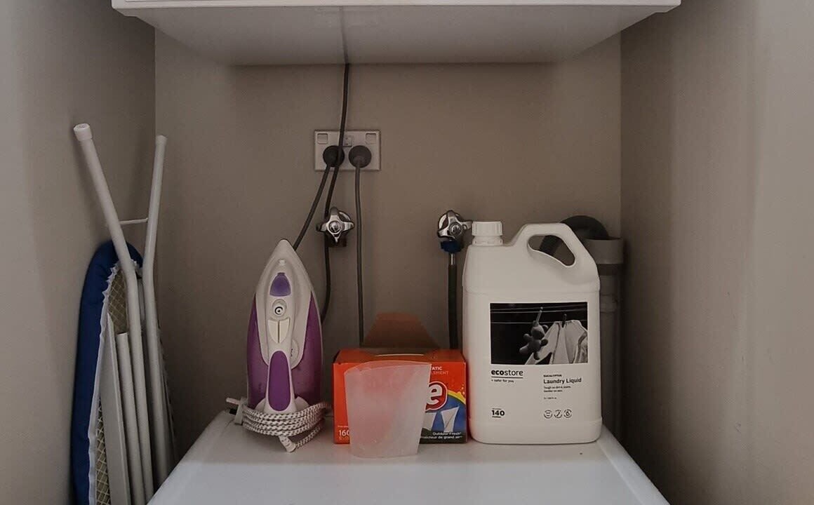 Photo of Others in Oriental Bay