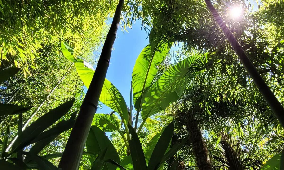 Photo of Outdoor in Marsan