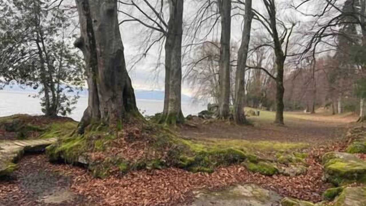 Photo of Others in Lugrin