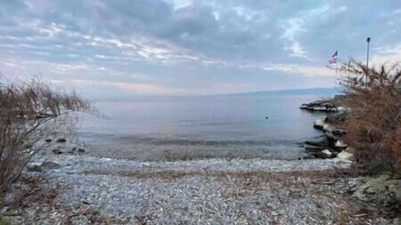 Photo of Others in Lugrin