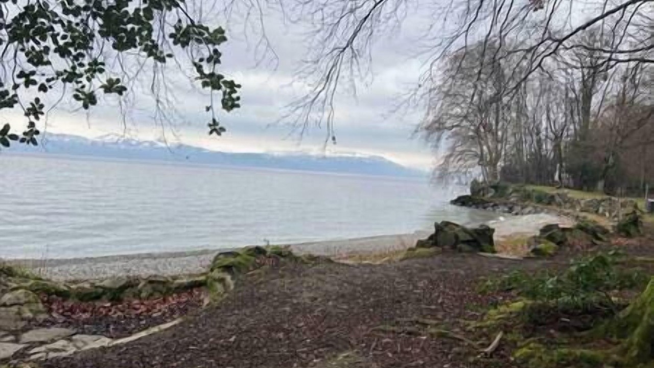 Photo of Others in Lugrin