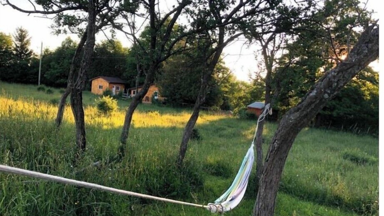 Photo of Outdoor in Grey Highlands