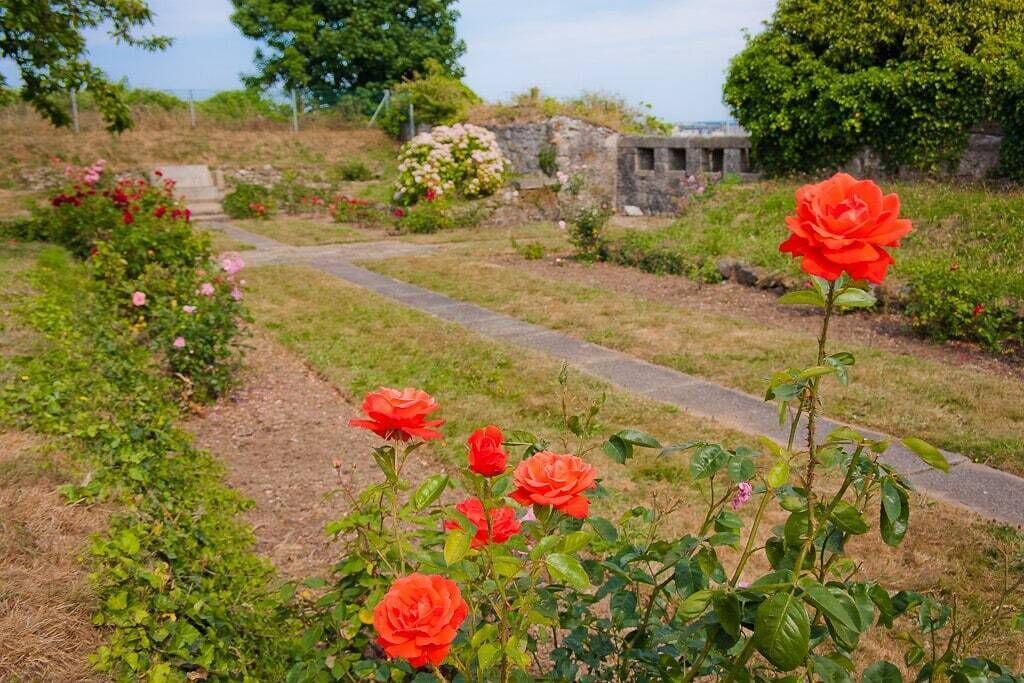 Photo of Outdoor in Devonport