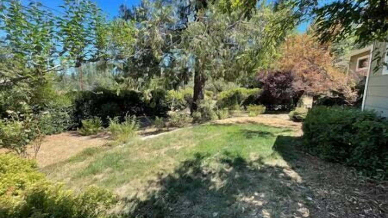 Photo of Outdoor in Cedar Ridge