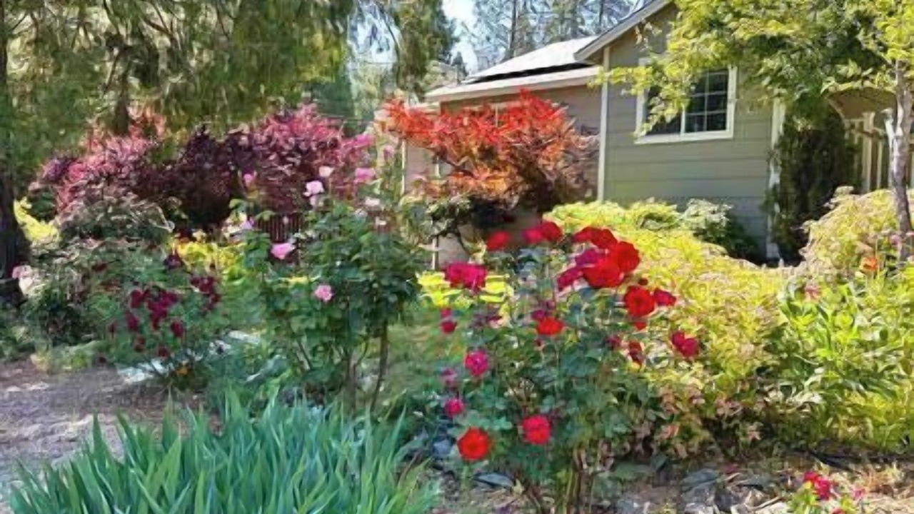 Photo of Outdoor in Cedar Ridge