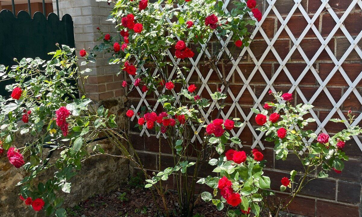 Photo of Outdoor in Gennevilliers