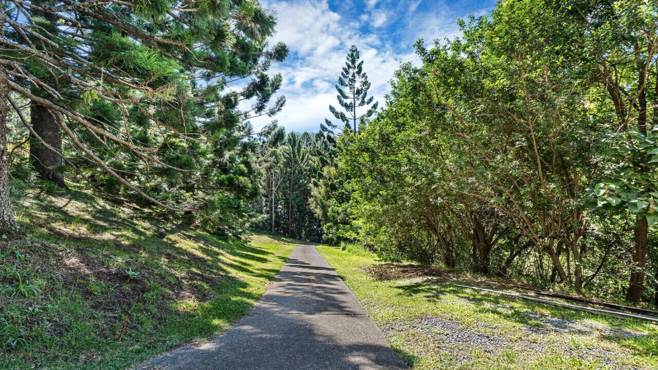 Photo of Outdoor in Currumbin Valley