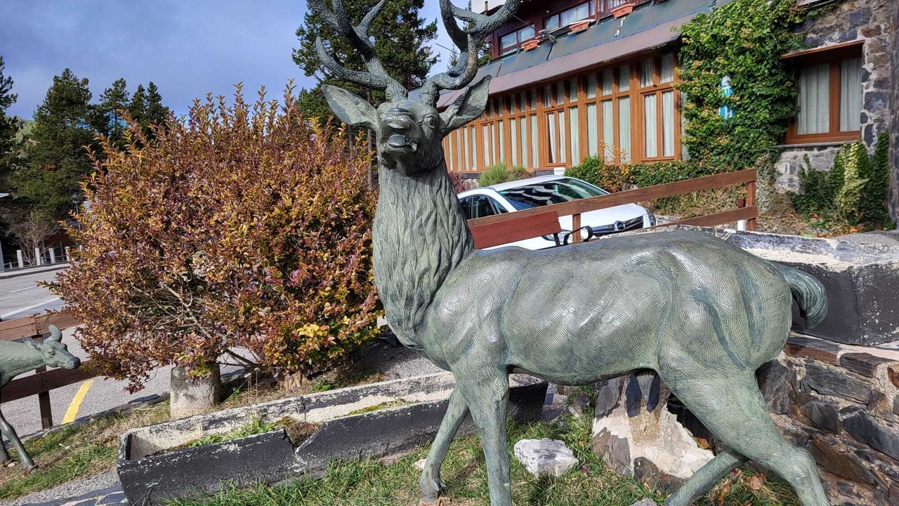 Photo of Outdoor in La Molina