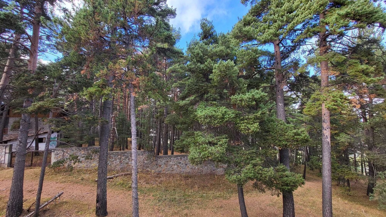 Photo of Others in La Molina