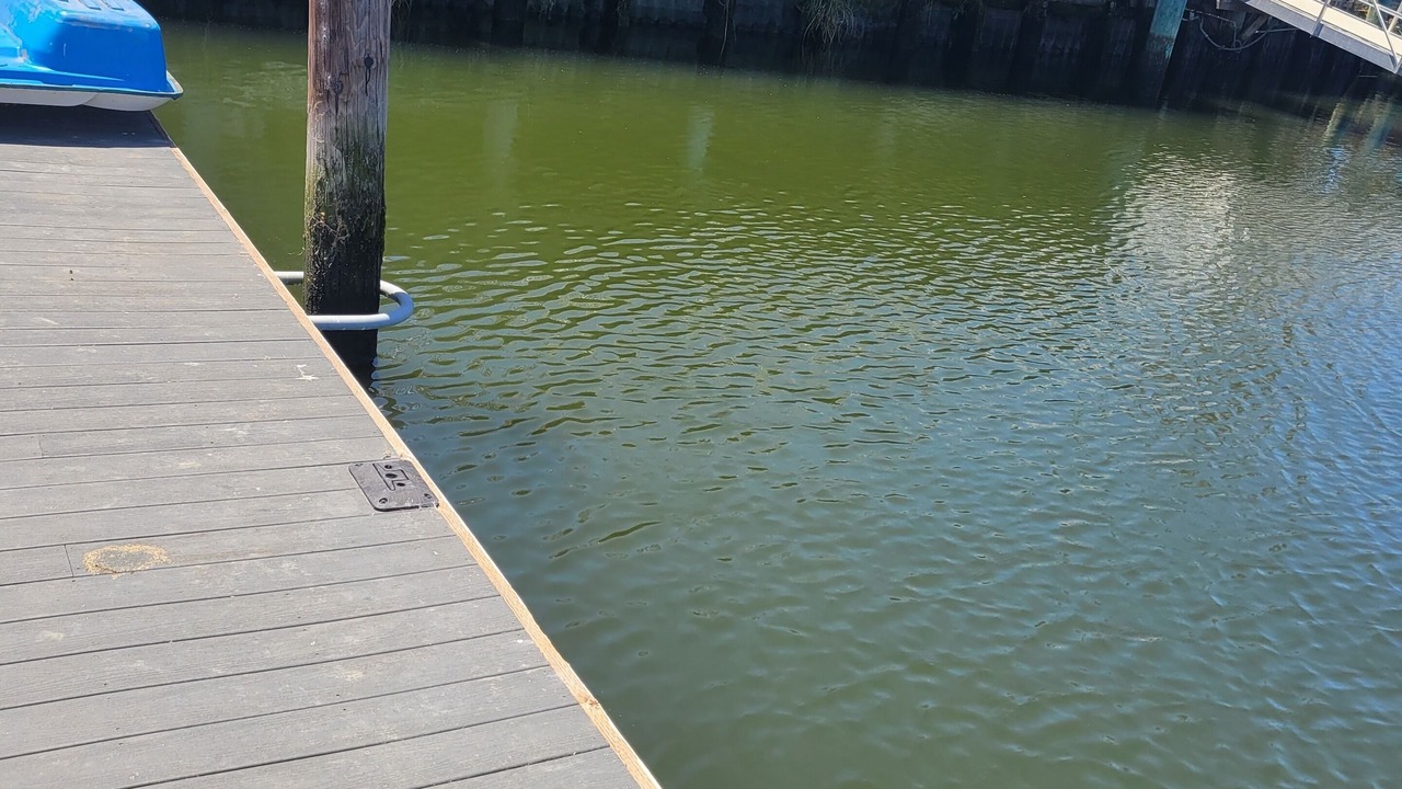 Photo of Others in Discovery Bay