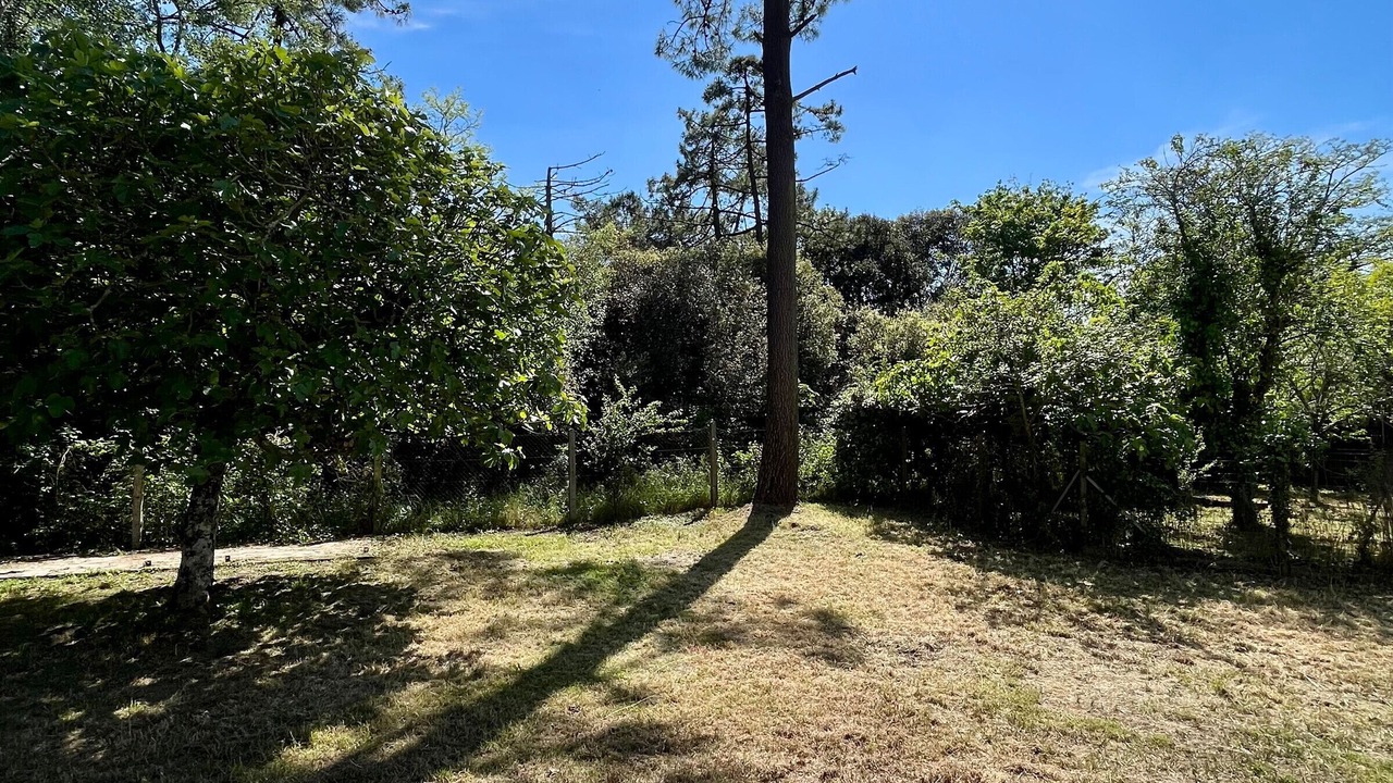 Photo of Outdoor in Saint-Jean-de-Monts