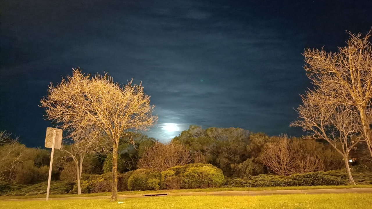 Photo of Others in Golden Grove