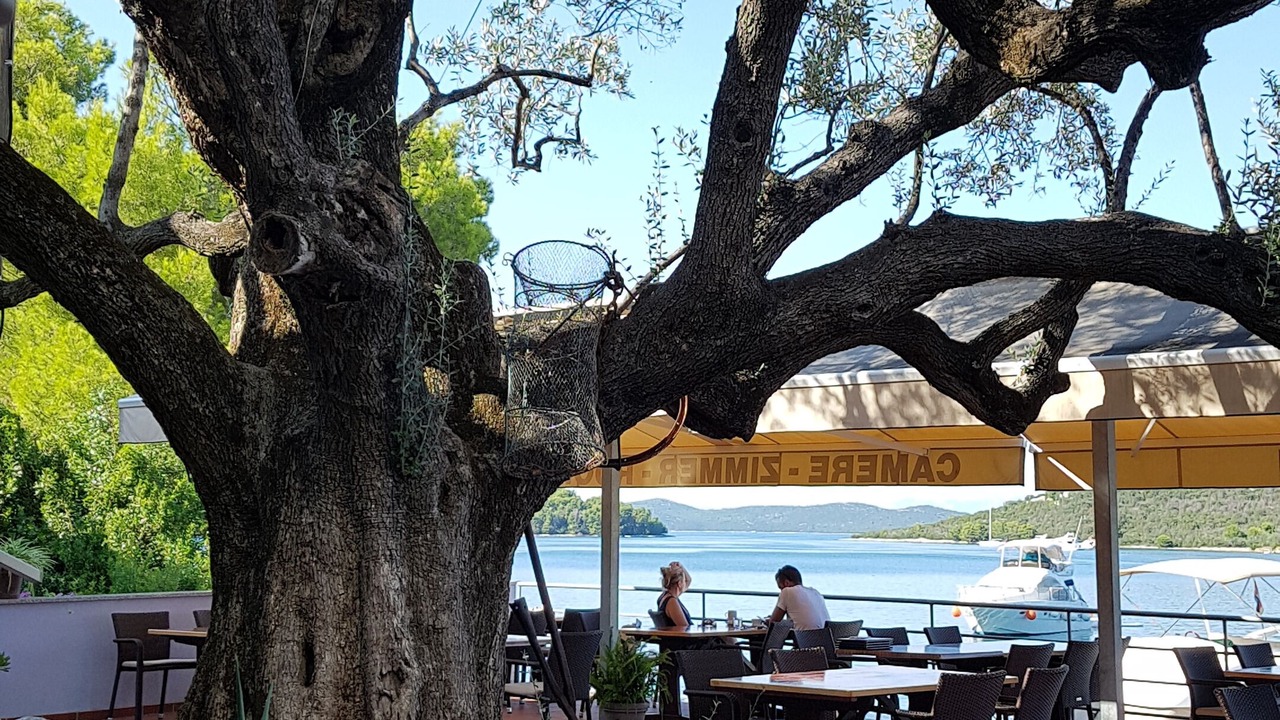 Photo of Others in Luka