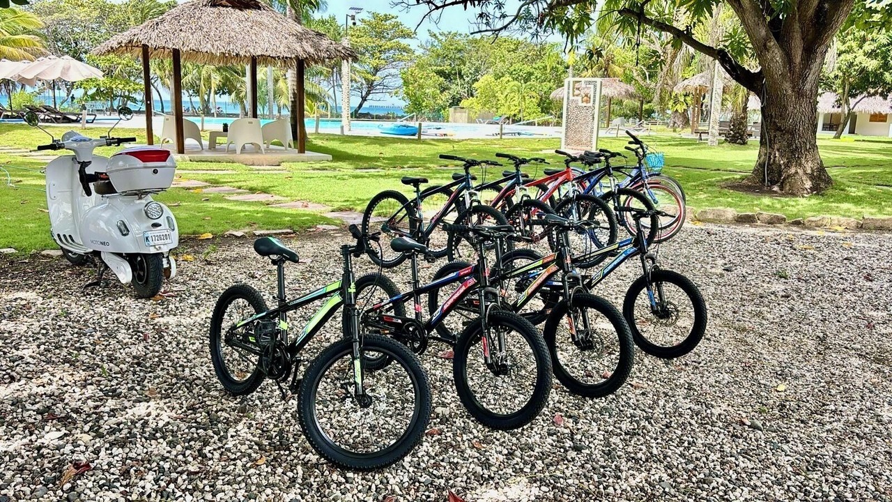 Photo of Outdoor in Nizao