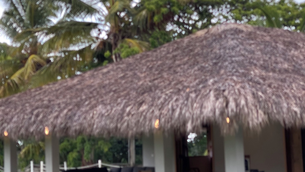 Photo of Outdoor in Nizao