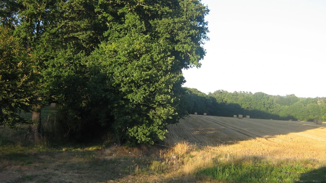 Photo of Outdoor in Missiriac