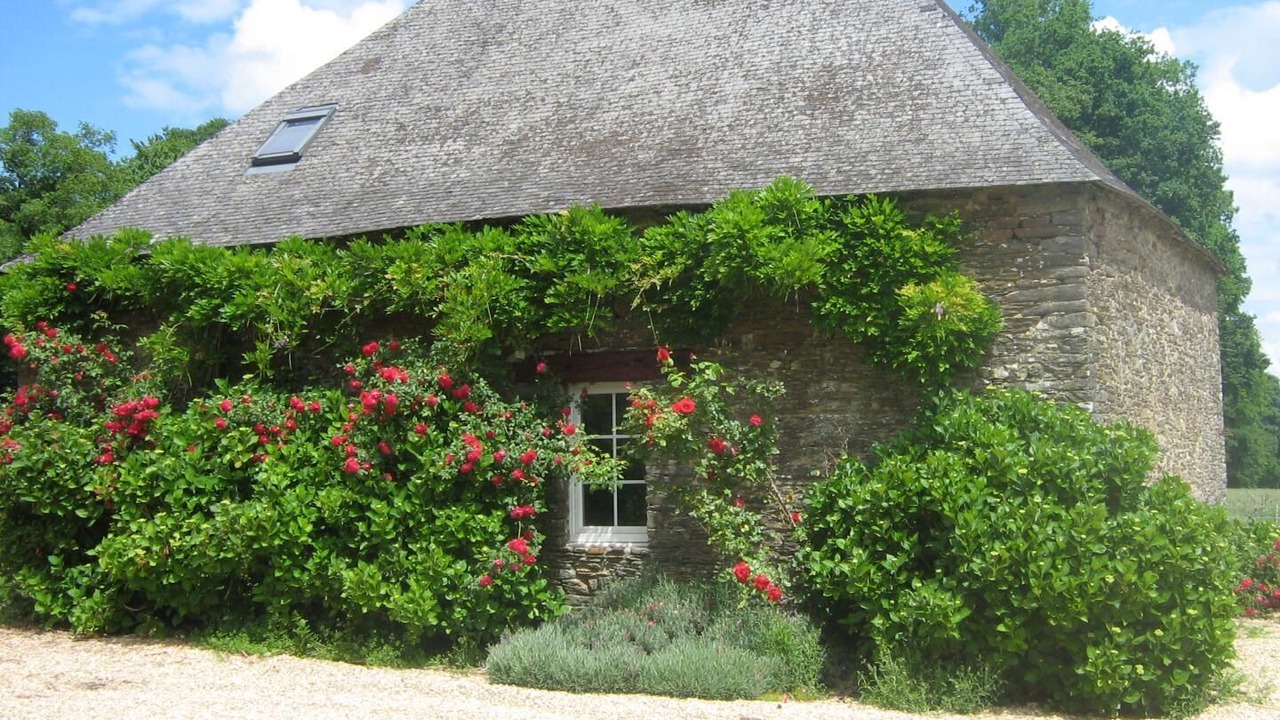Photo of Outdoor in Missiriac
