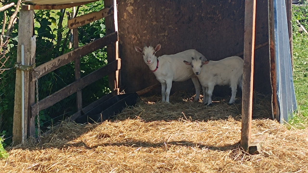 Photo of Outdoor in Landricourt