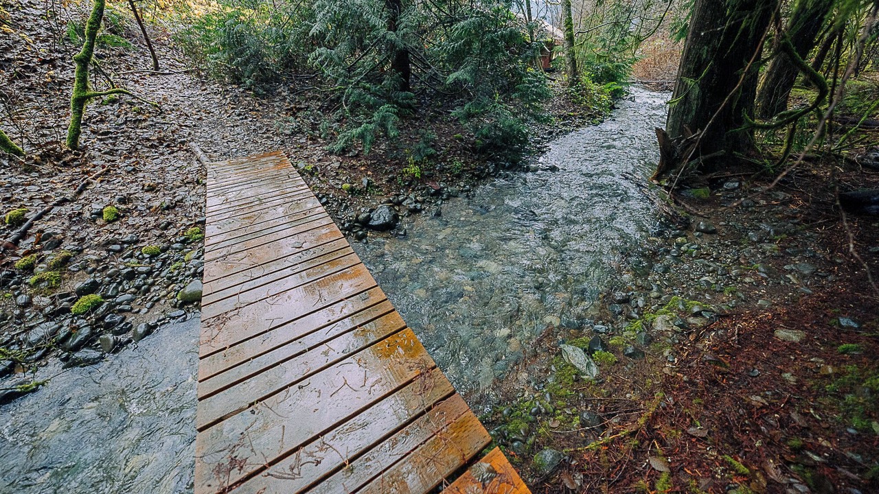 Photo of Outdoor in Hoodsport