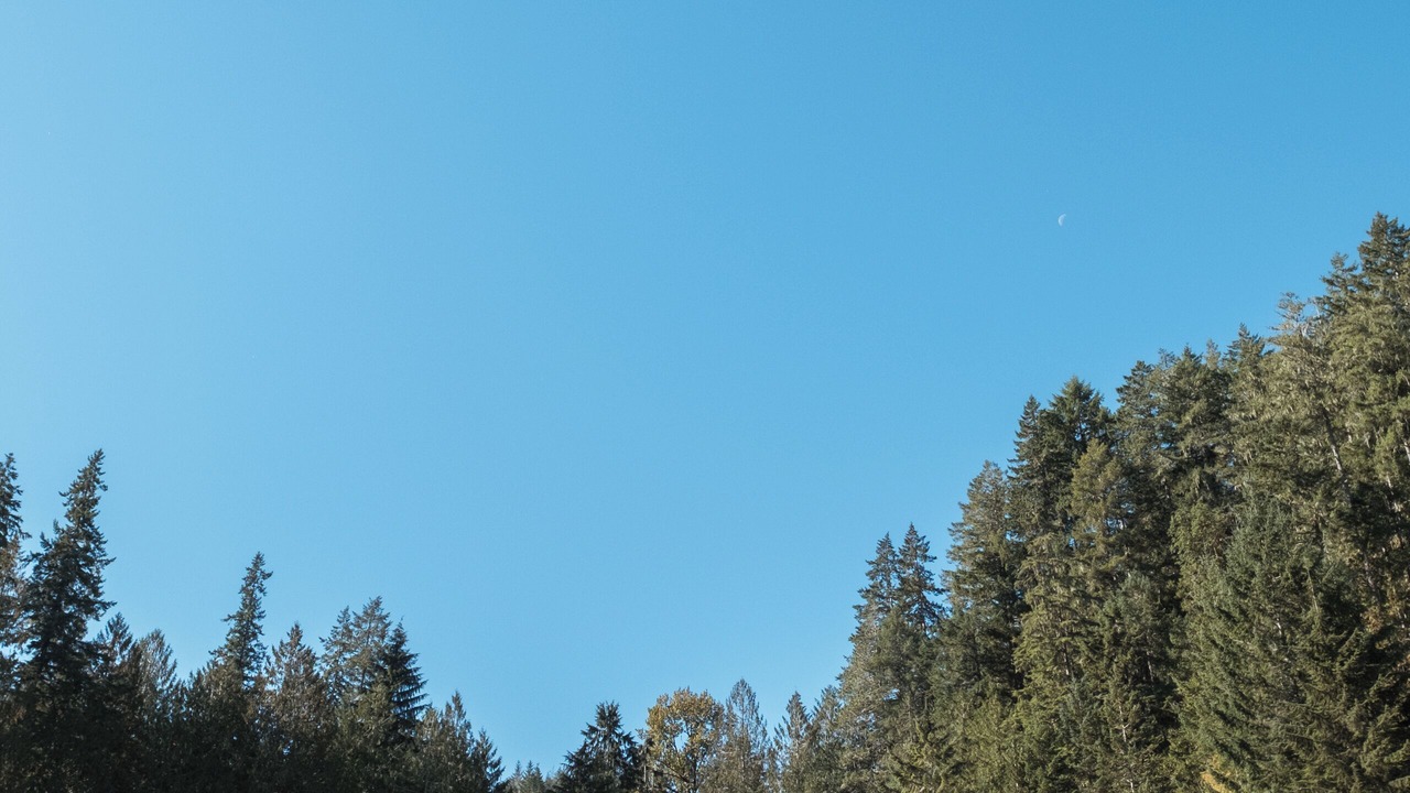 Photo of Others in Hoodsport