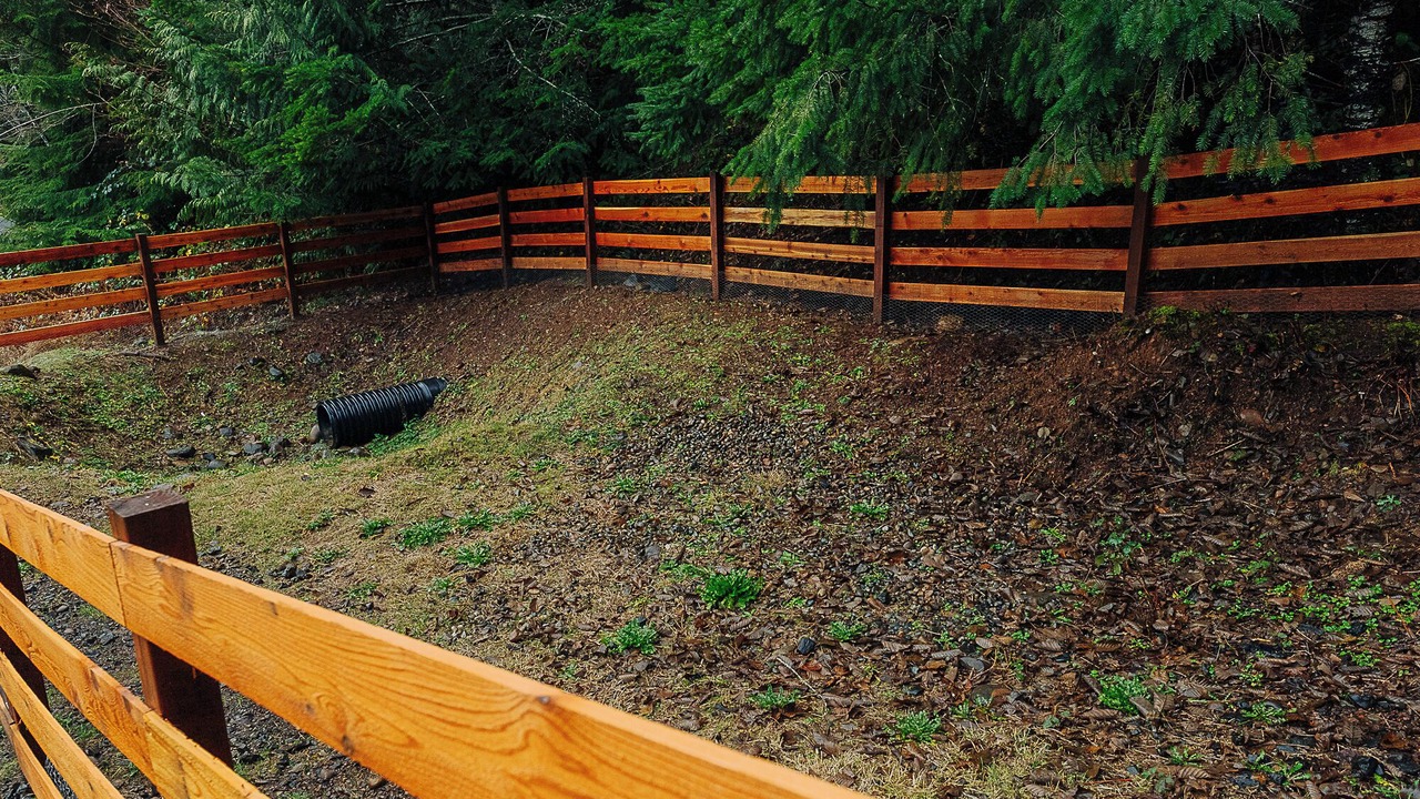 Photo of Outdoor in Hoodsport