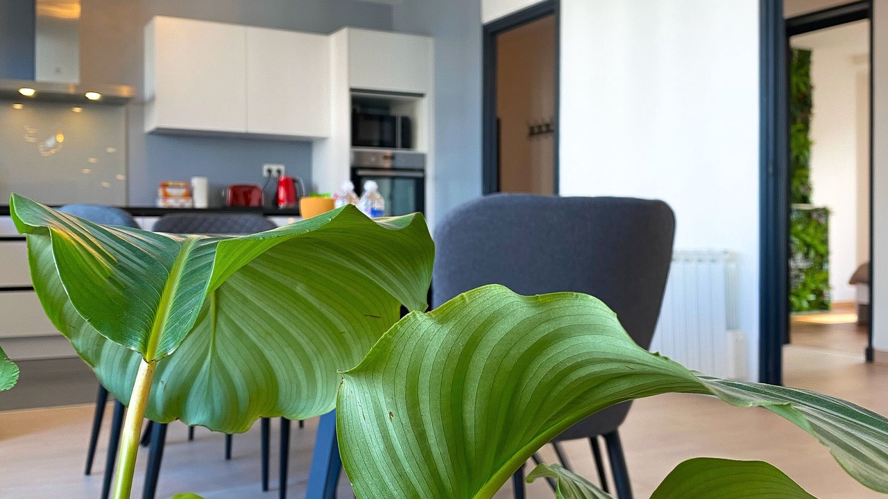 Photo of Others in Saint-Leu