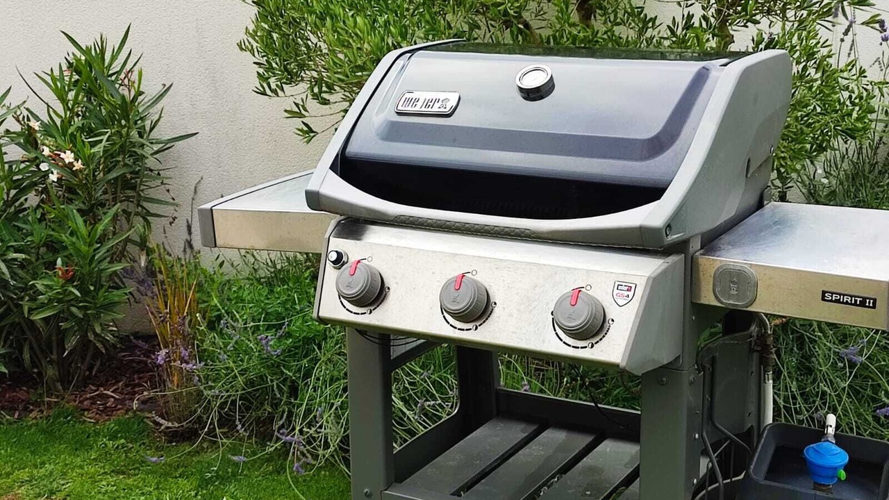 Photo of Outdoor in Saint-Xandre