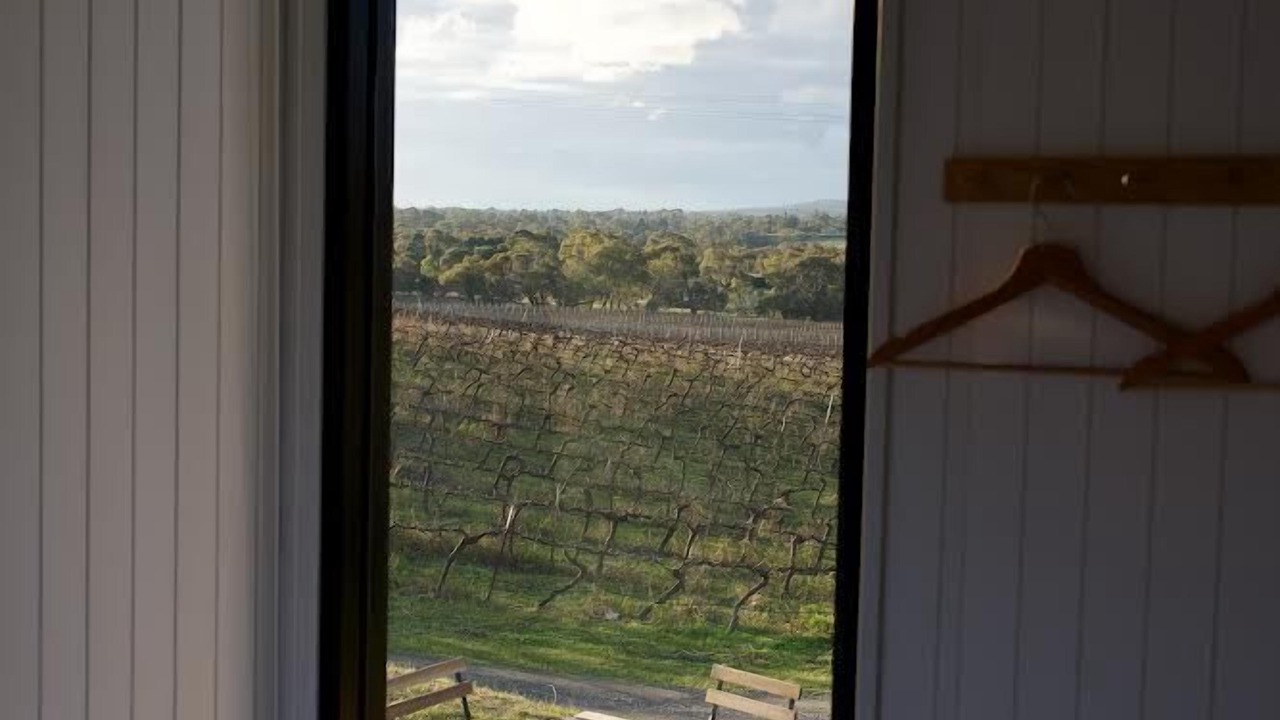 Photo of Others in Ararat