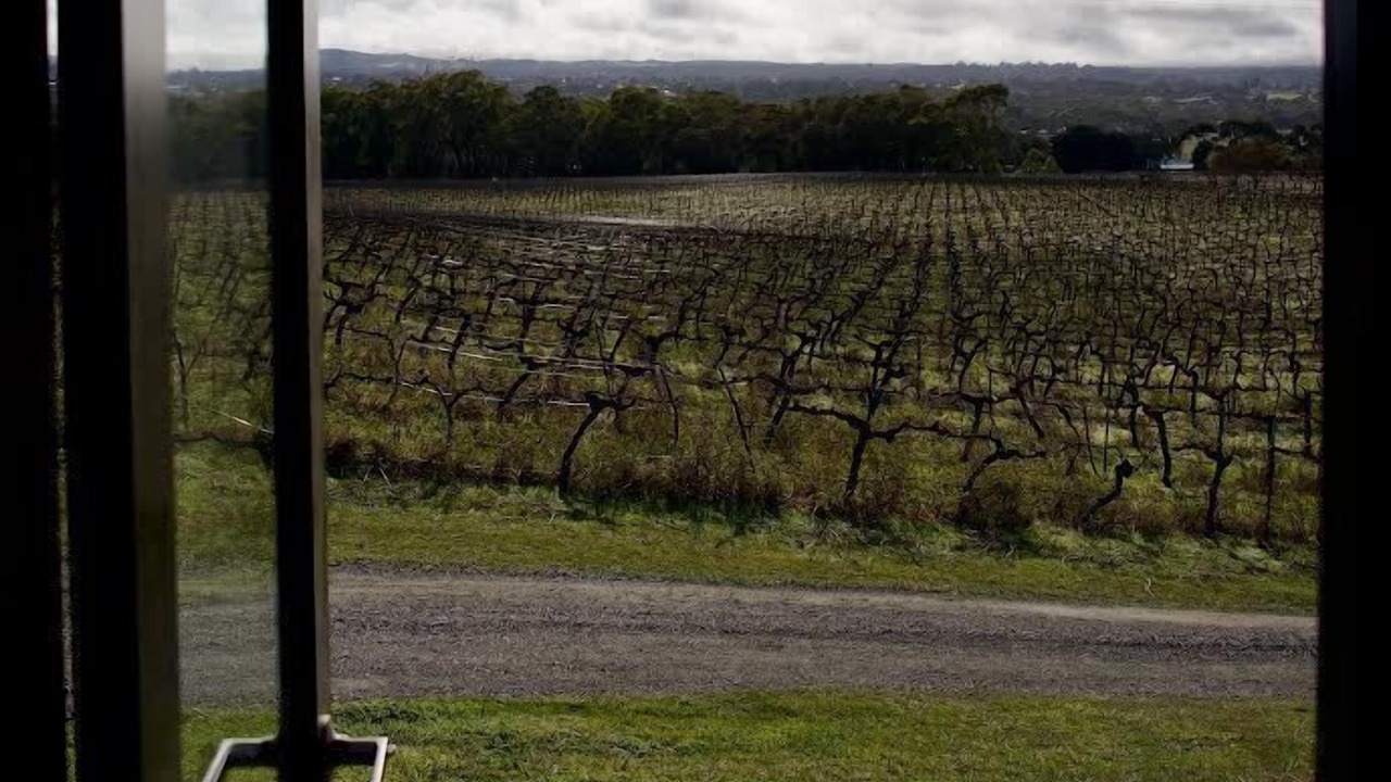 Photo of Others in Ararat