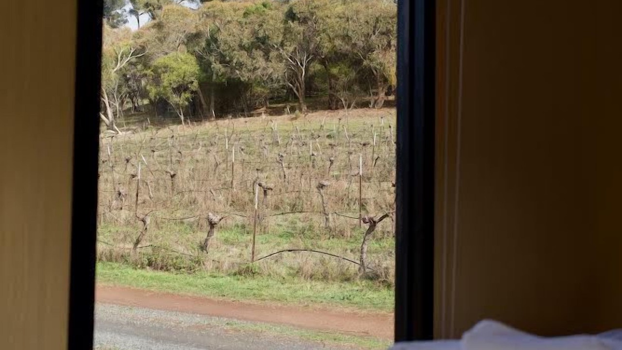 Photo of Others in Ararat