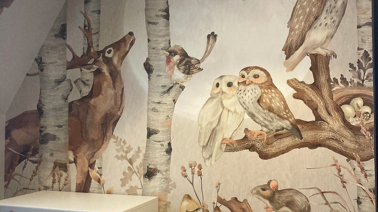 Photo of Bedroom in Abilly