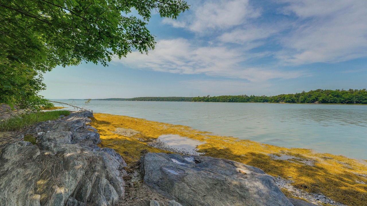 Photo of Outdoor in Freeport