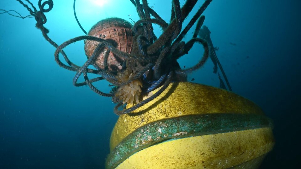 Photo of Others in Songan