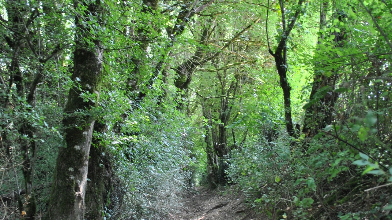 Photo of Outdoor in Vouhe