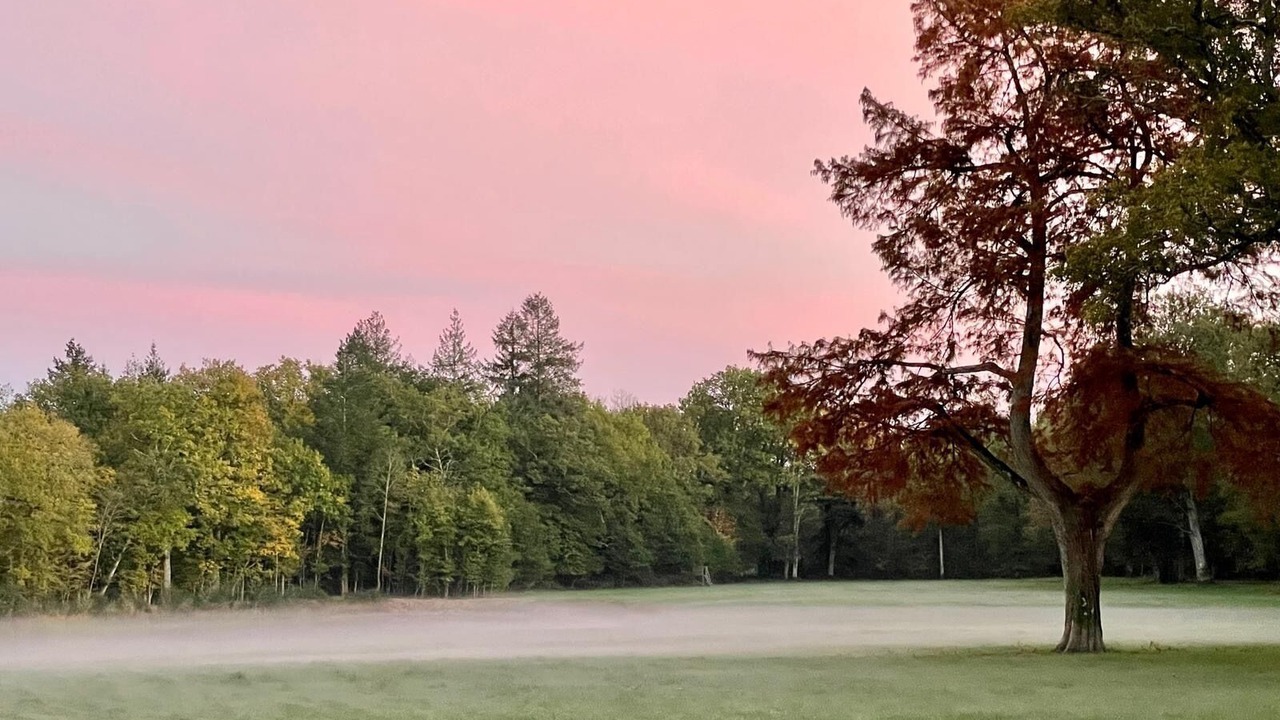 Photo of Outdoor in Fontaines-en-Sologne