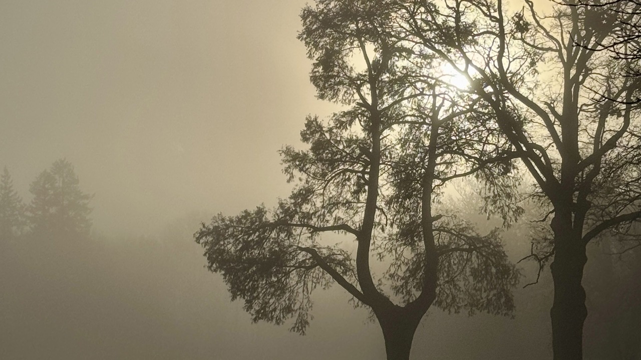 Photo of Outdoor in Fontaines-en-Sologne