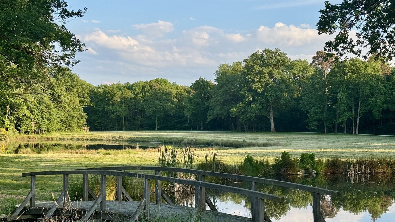Photo of Outdoor in Fontaines-en-Sologne