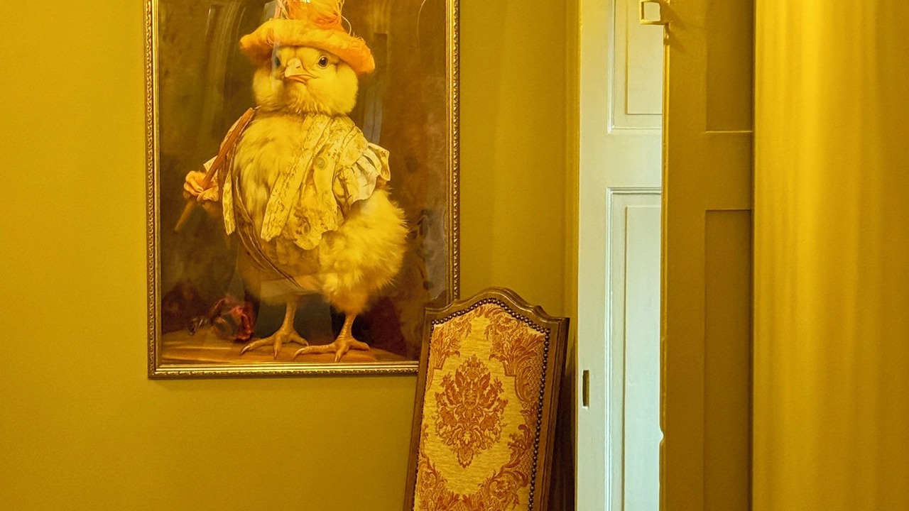 Photo of Others in Fontaines-en-Sologne