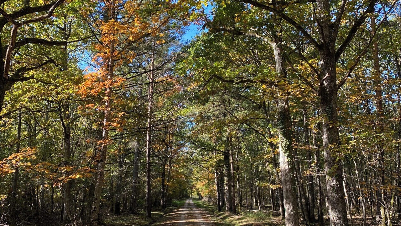 Photo of Outdoor in Fontaines-en-Sologne