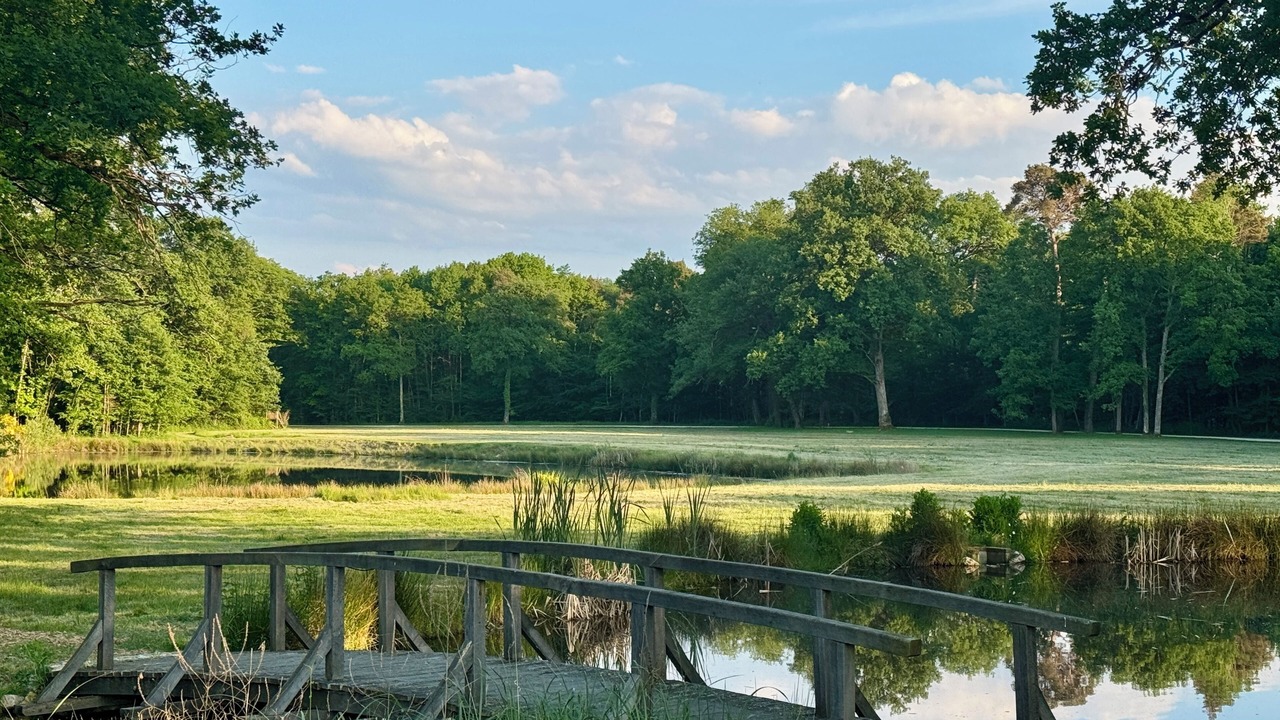 Photo of Outdoor in Fontaines-en-Sologne